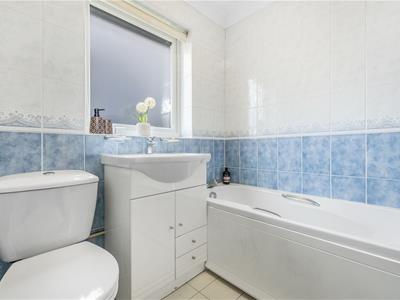 Picture 20